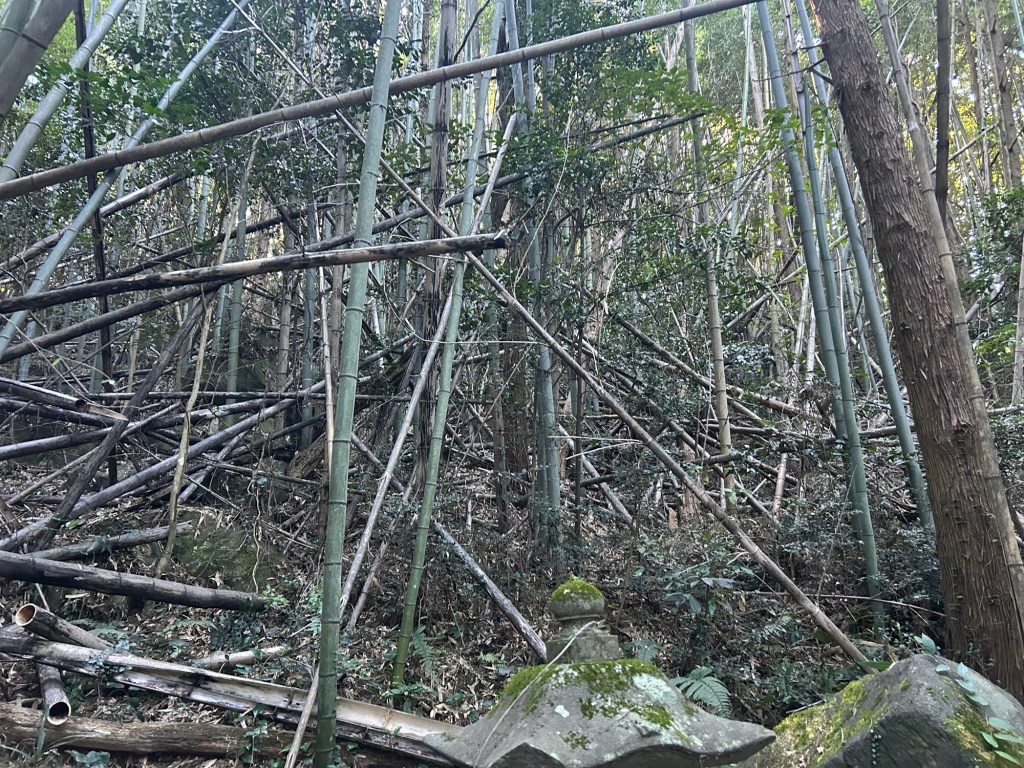 危ない！危ない！